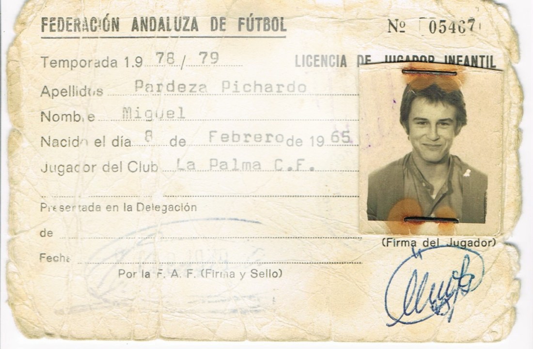 ficha-infantil-pardeza